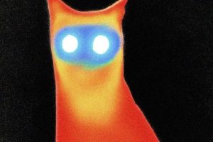 Basement - Head Alight (2026)